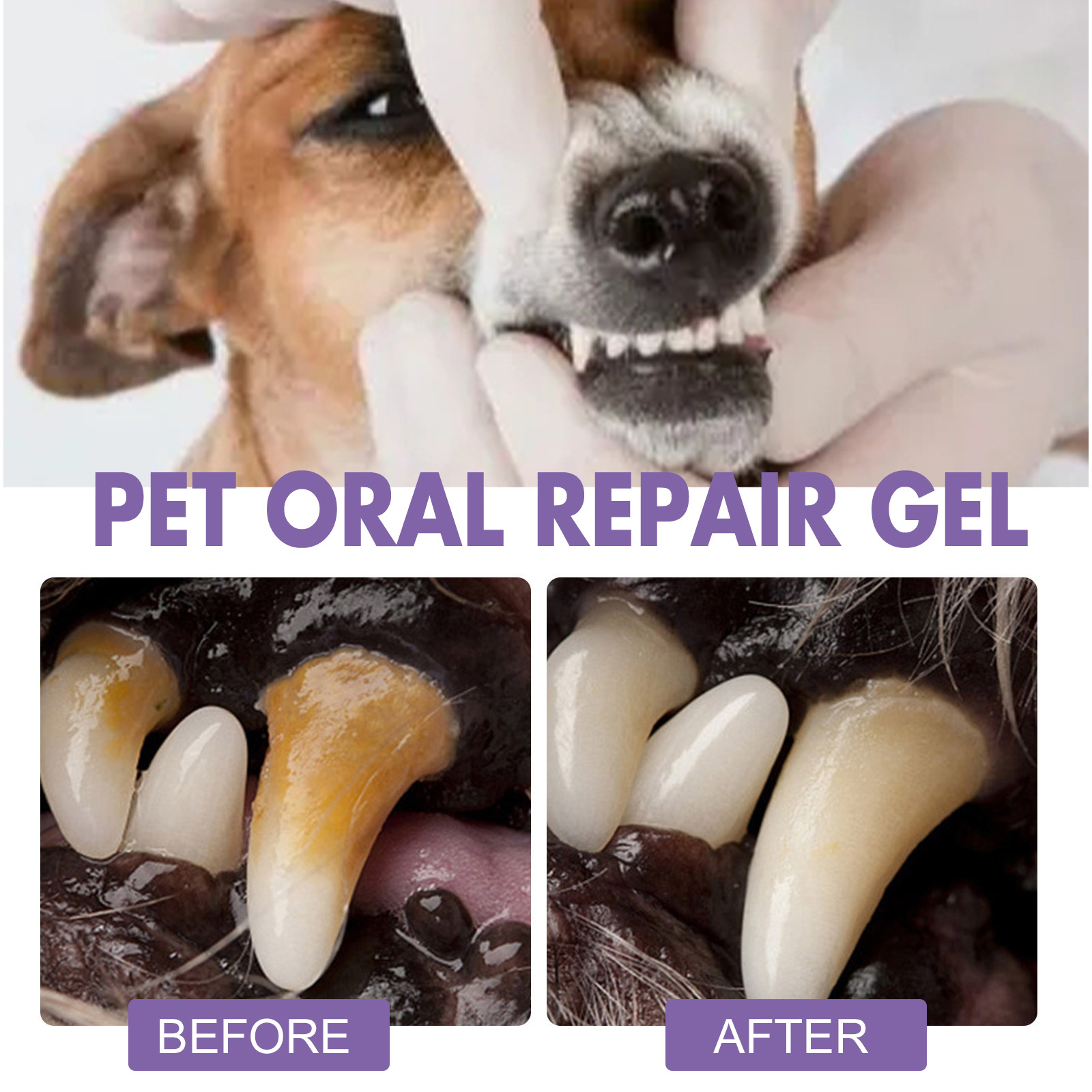 Pet Oral Repair Gel Puppy Tart - đánh giá và giá Teeth Whitening Singapore