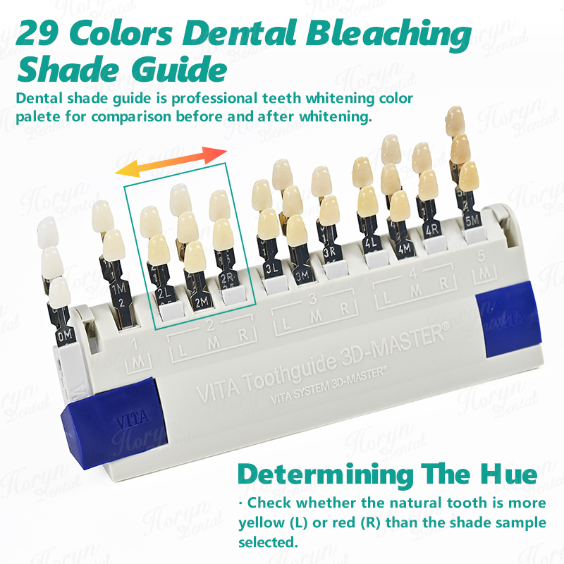 Vita 3D Master Dental Lab Blea - đánh giá và giá Teeth Whitening/Bleaching